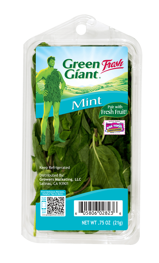 Mint Green Giant Fresh